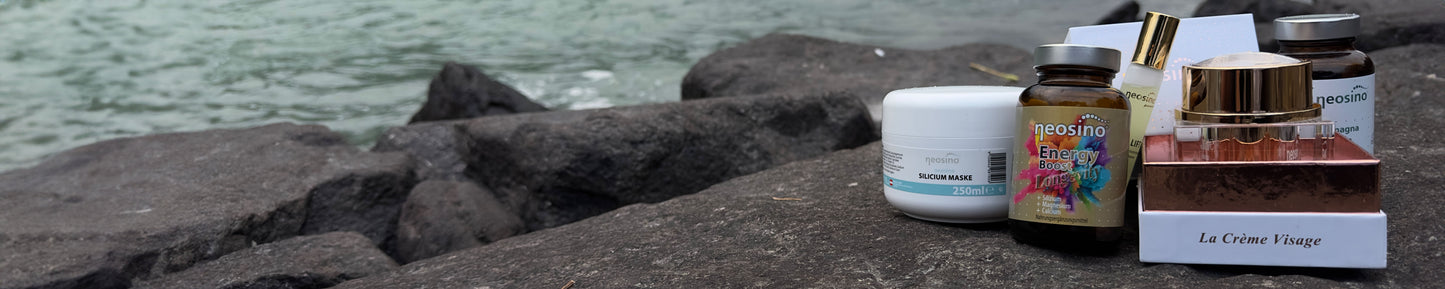 neosino-silizium-blog