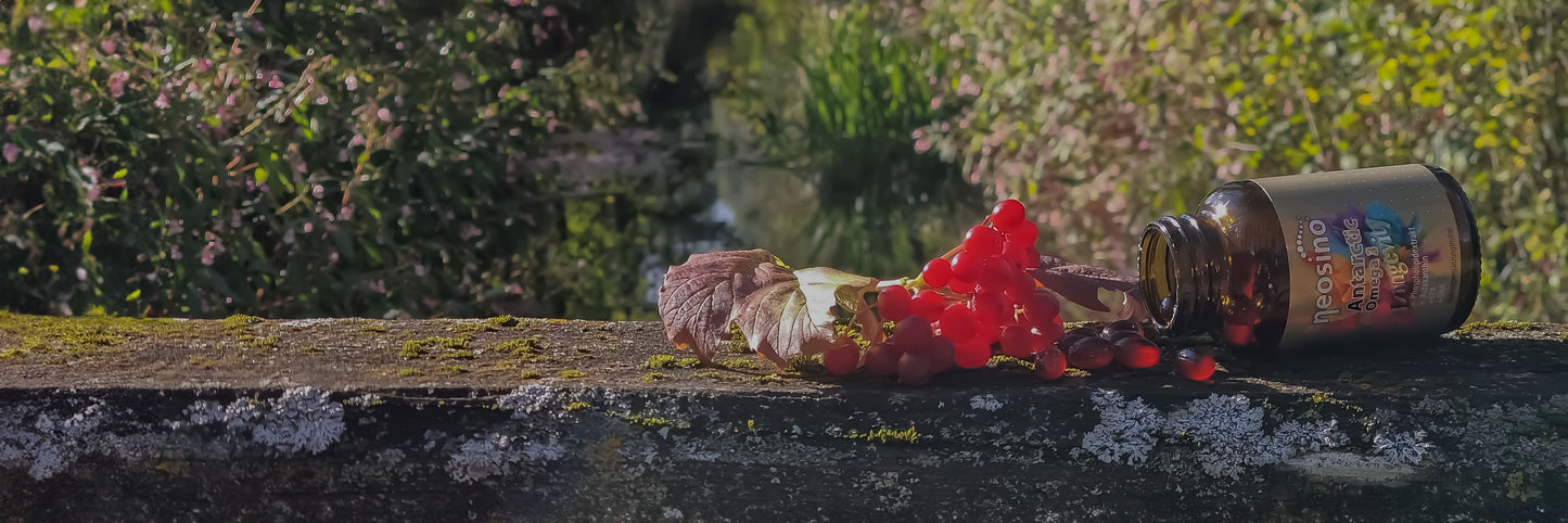 neosino-krill-omega-3-blog